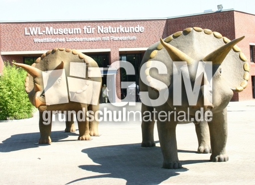 Museum-für-Naturkunde-2.jpg